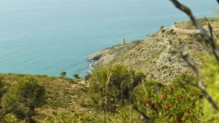 Places en Castellón