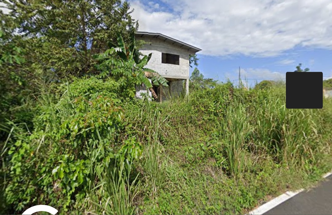 Casa abandonada - La Chorrera