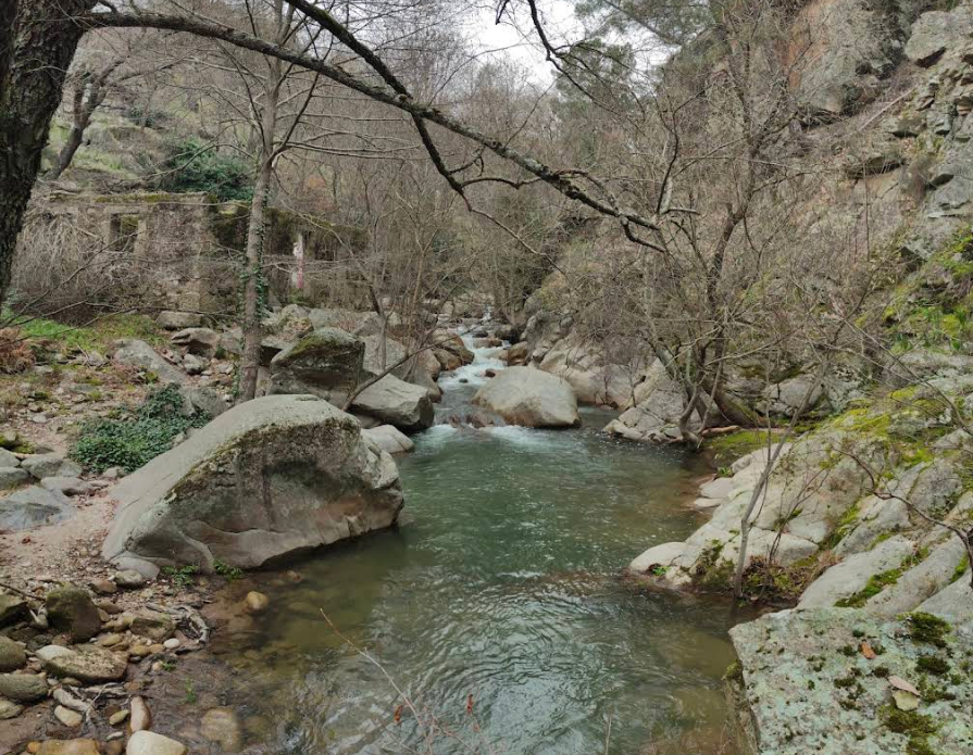 El charco - Lanzahíta